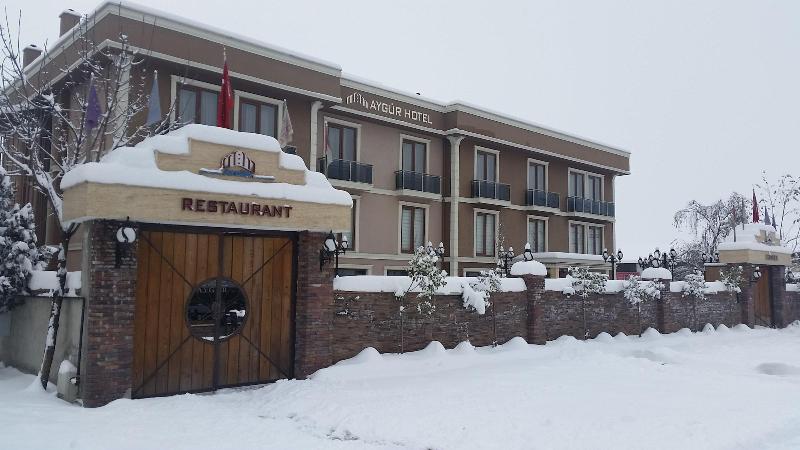 Aygur Hotel — photo 22