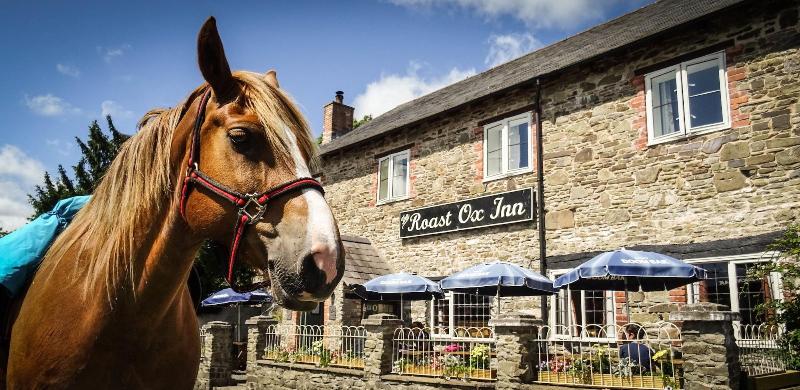 Roast Ox Inn image
