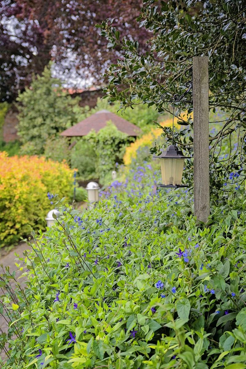 Waveney House Hotel image