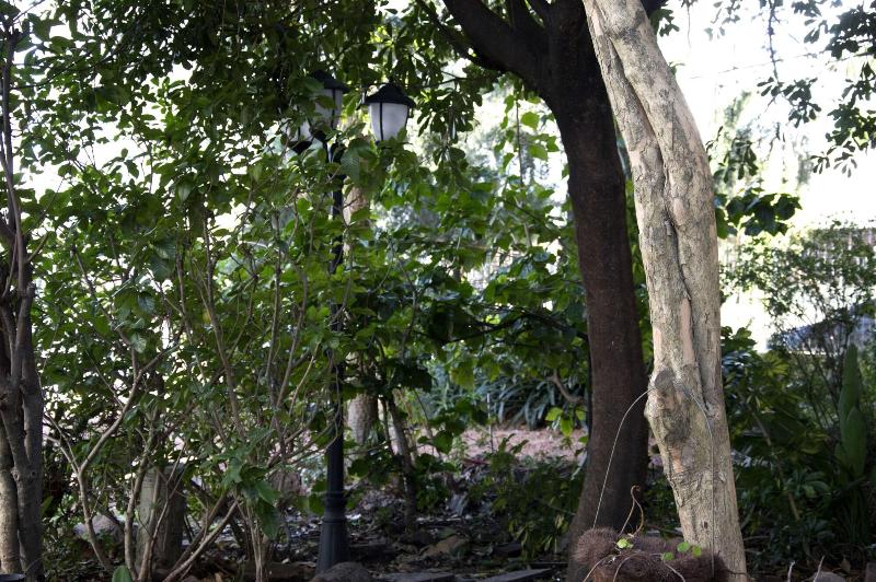 Cane B&B image