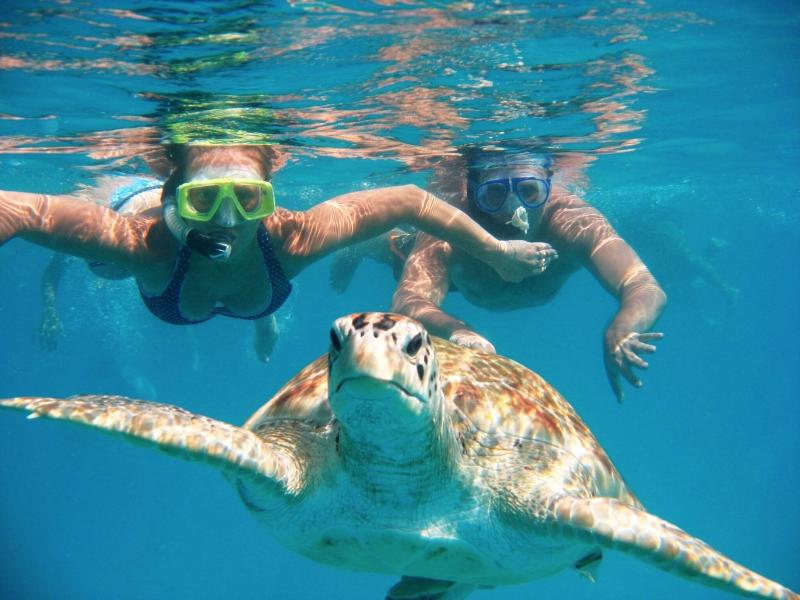 Tanna Evergreen Resort & Tours