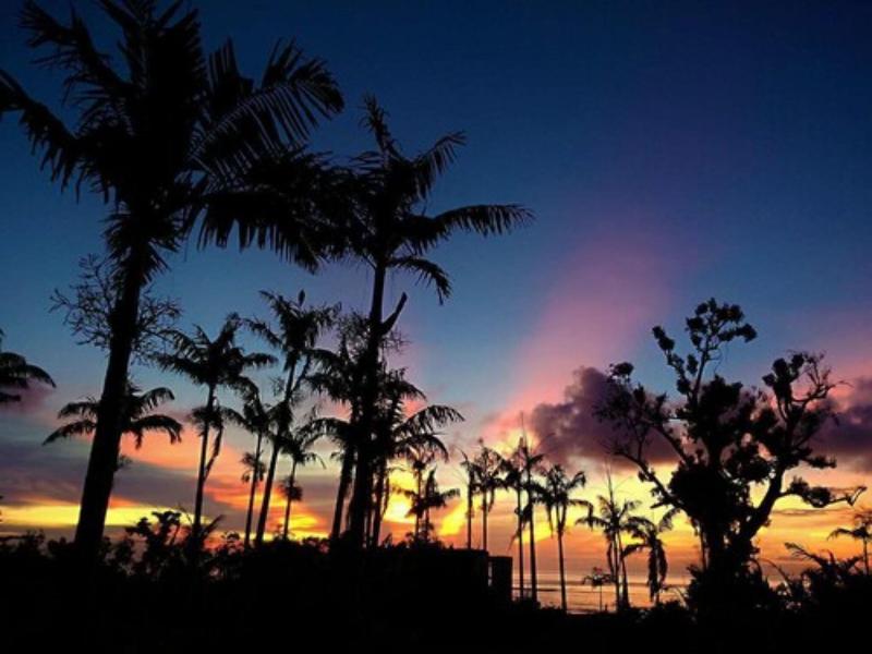 Tanna Evergreen Resort & Tours