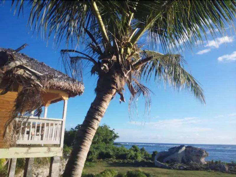 Tanna Evergreen Resort & Tours