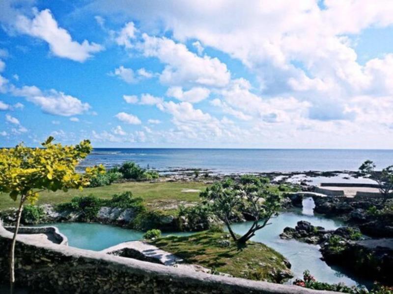 Tanna Evergreen Resort & Tours