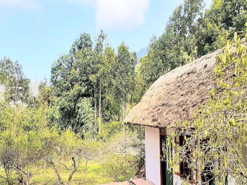 Sa House Bac Ha image