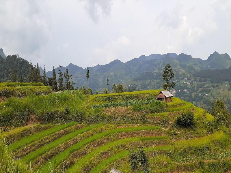 Sa House Bac Ha image