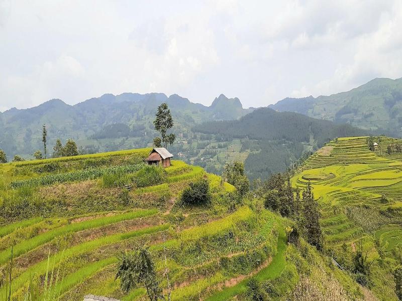 Sa House Bac Ha image