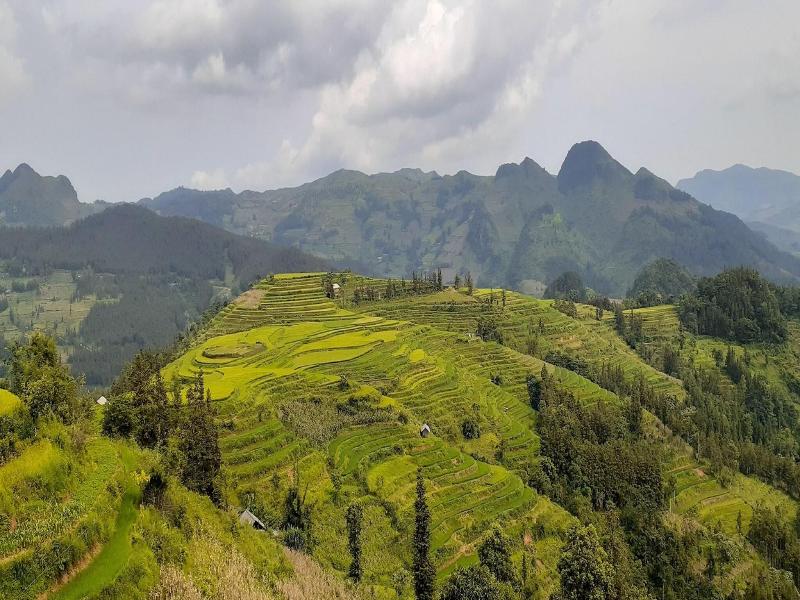 Sa House Bac Ha image