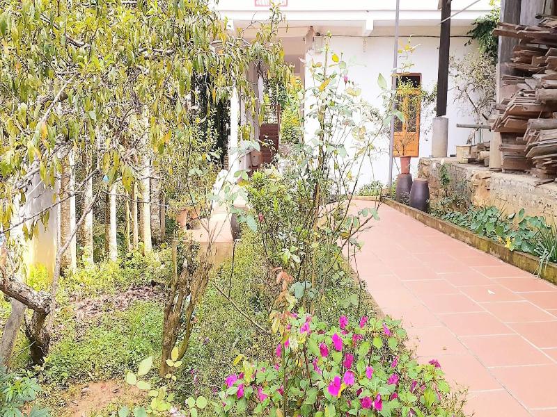 Sa House Bac Ha image