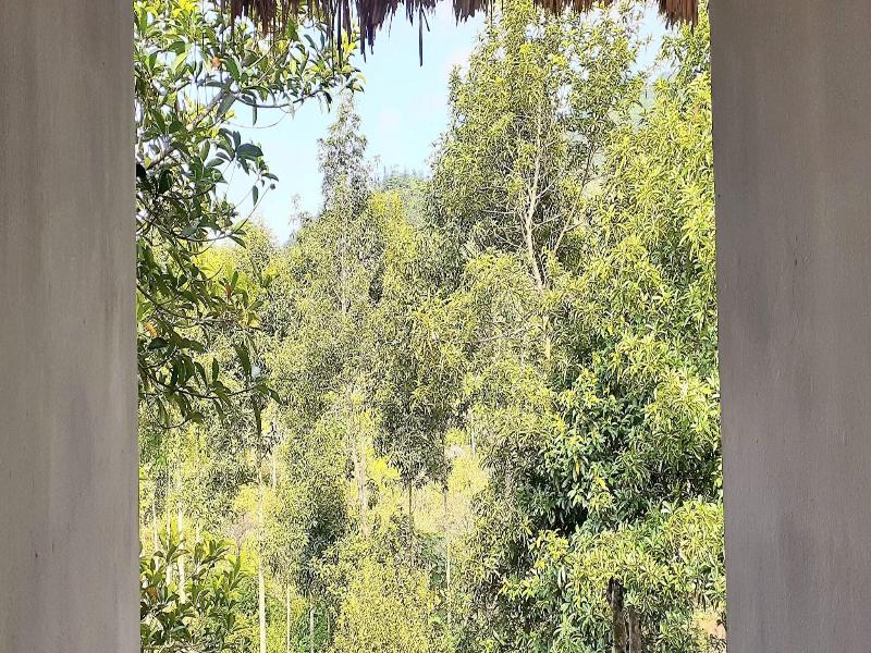Sa House Bac Ha image
