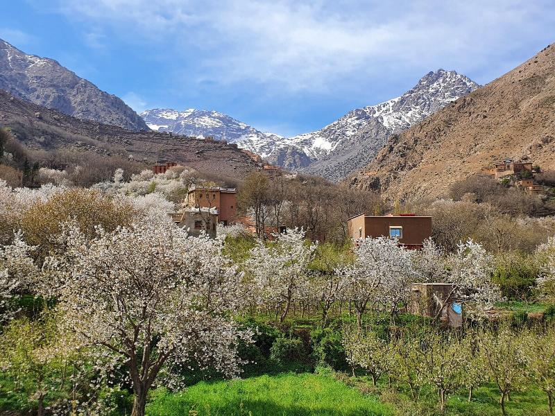 Dar Assarou image