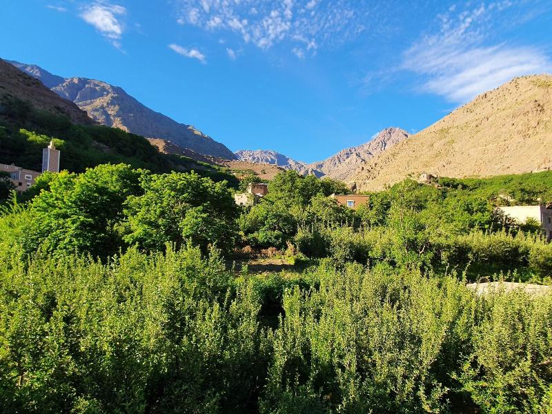 Dar Assarou image