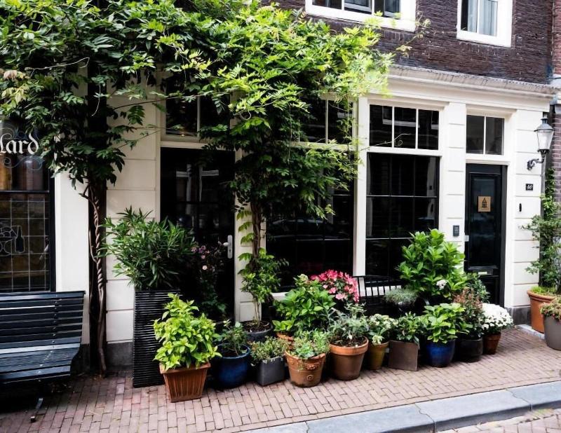 The Blossom House Amsterdam image
