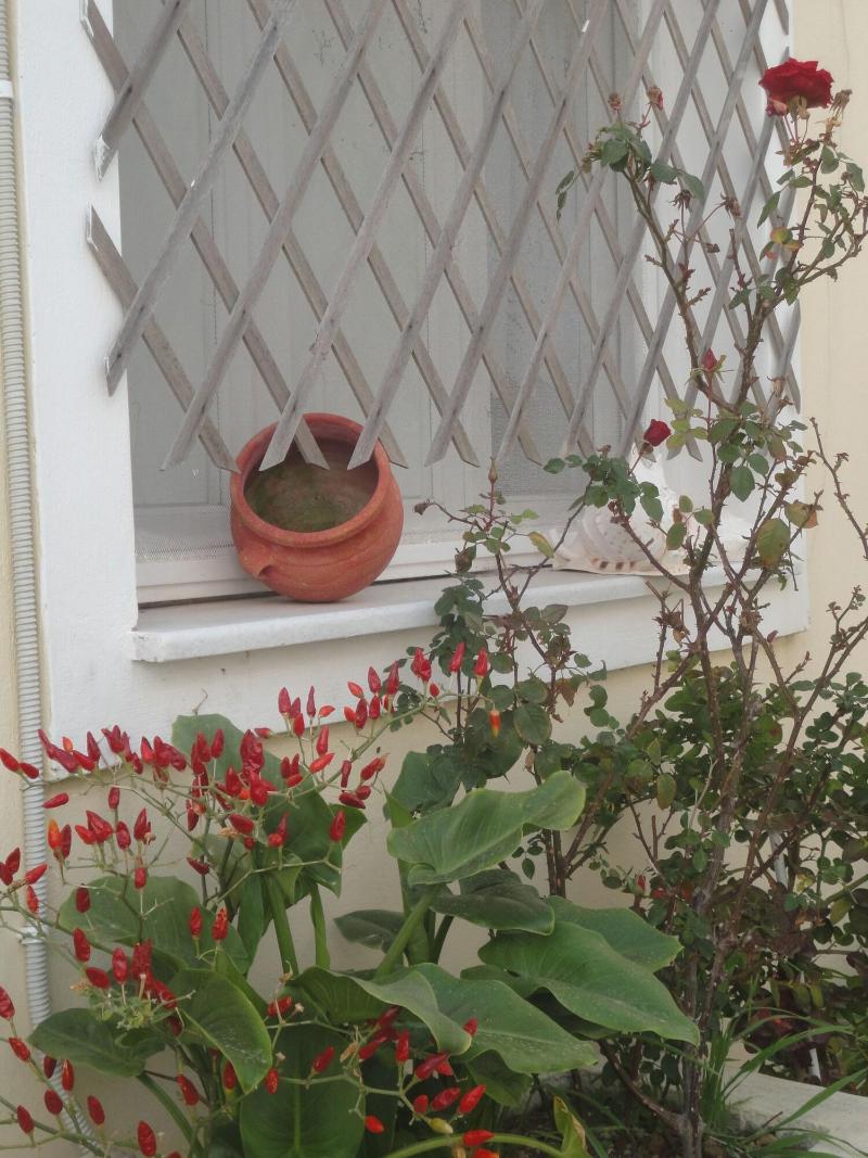 Vina's Place image