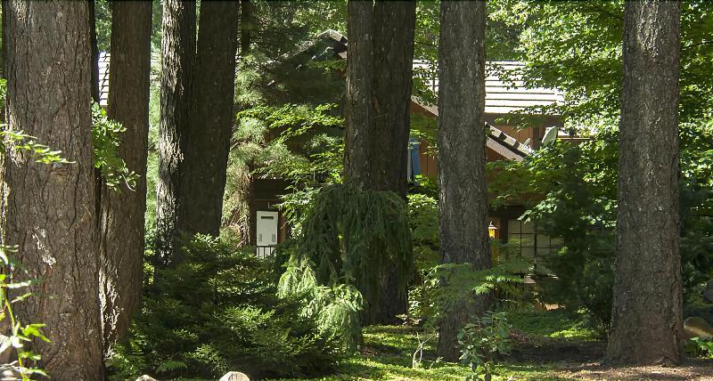 Harmony Ridge Lodge image