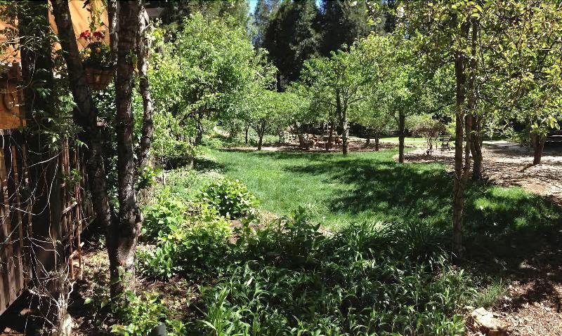 Harmony Ridge Lodge image