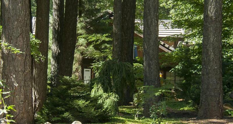 Harmony Ridge Lodge image