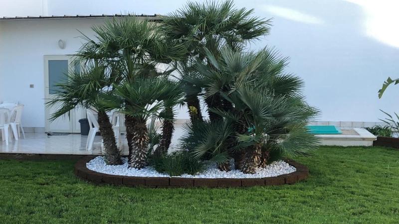 B&B Resort Signorile — general view