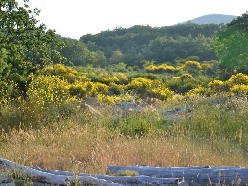 La Devinière image