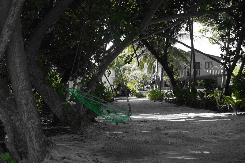 Island Pavilion 3