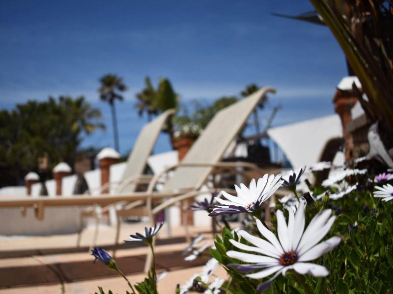 Hotel Castillos Del Mar image
