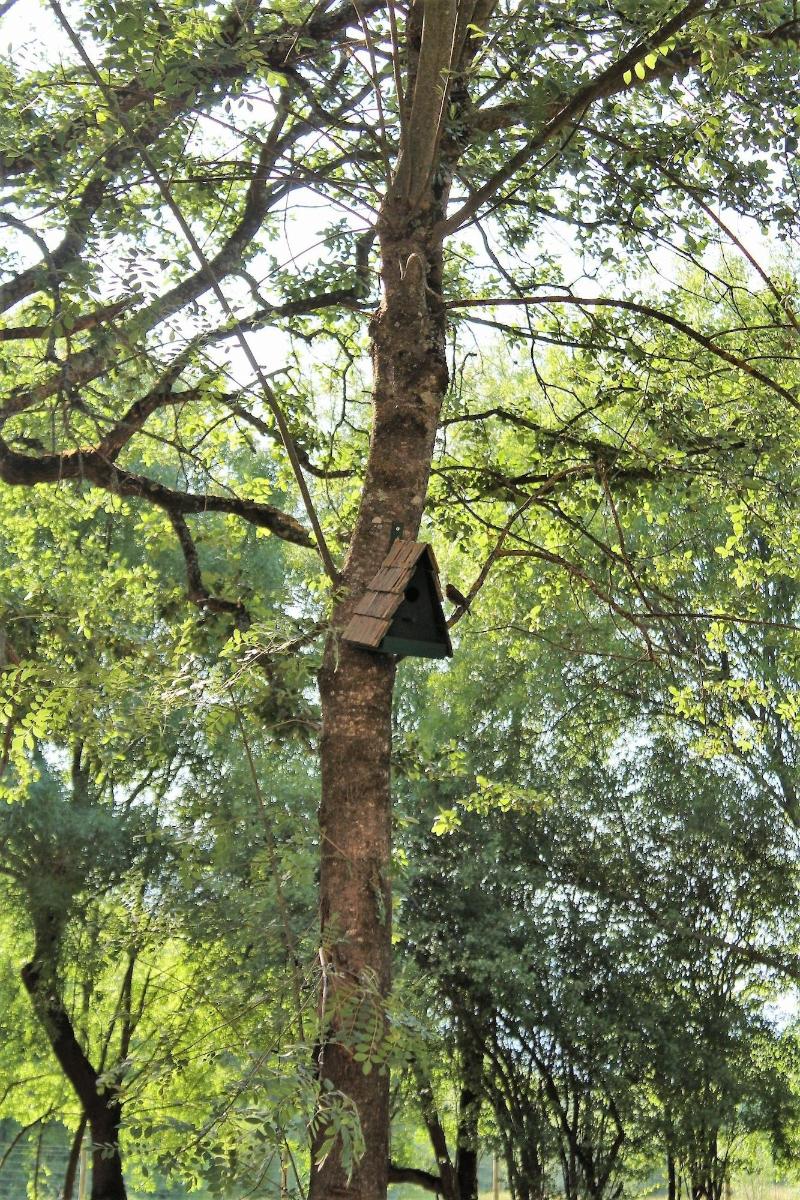 Retiro Do Bosque Country House image