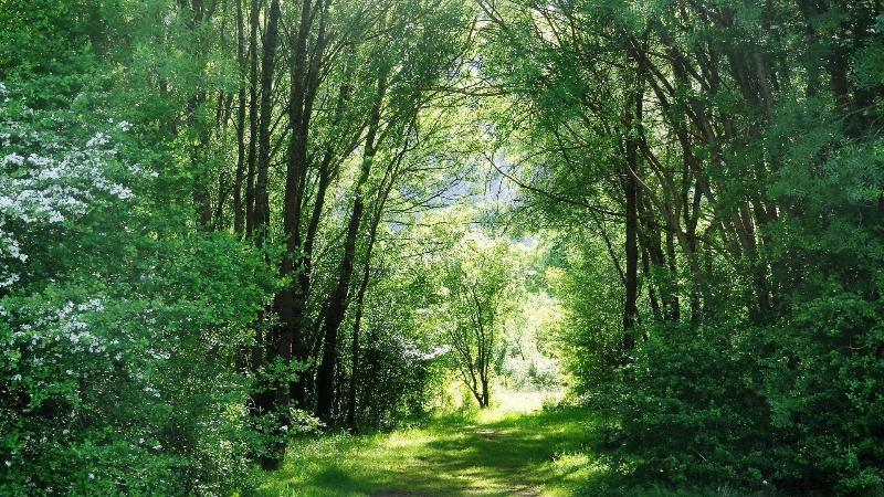 Retiro Do Bosque Country House image