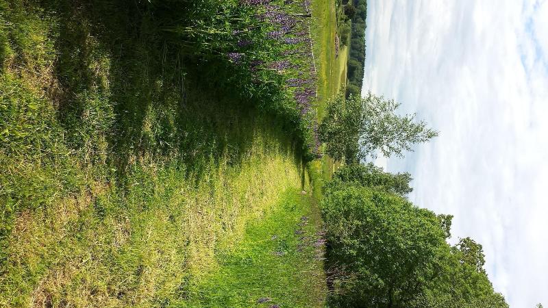 Strandgårdens Wärdshus image