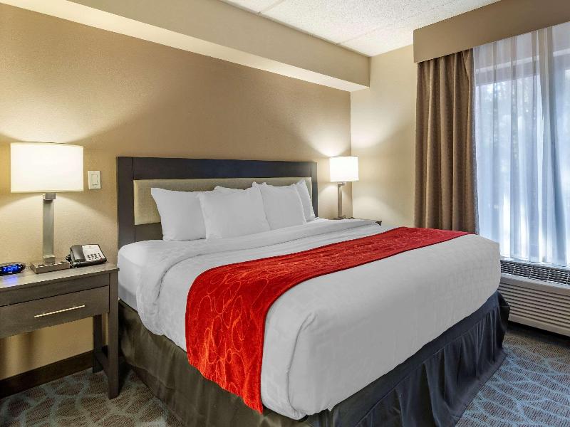 Comfort Suites Alpharetta/Roswell - Atlanta Area image