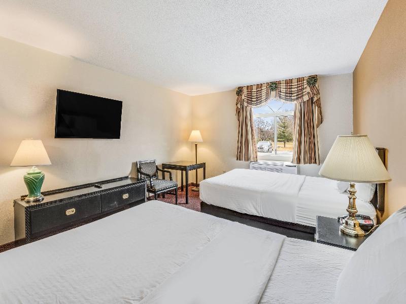 Econo Lodge Whitehall Near Michigan's Adventure image