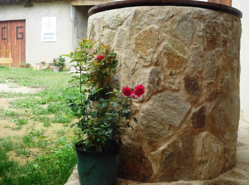 Casa da Gándara - Albergue image
