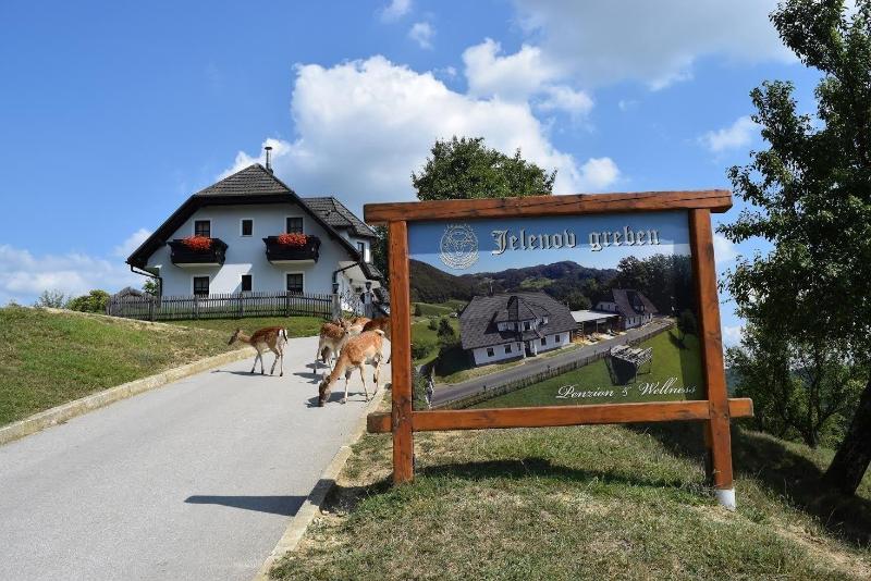 Guesthouse Jelenov Greben image