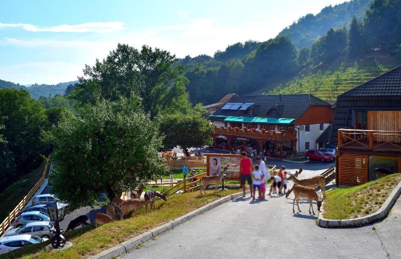Guesthouse Jelenov Greben image
