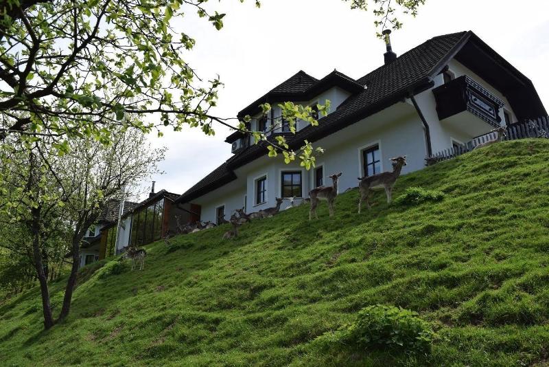 Guesthouse Jelenov Greben image