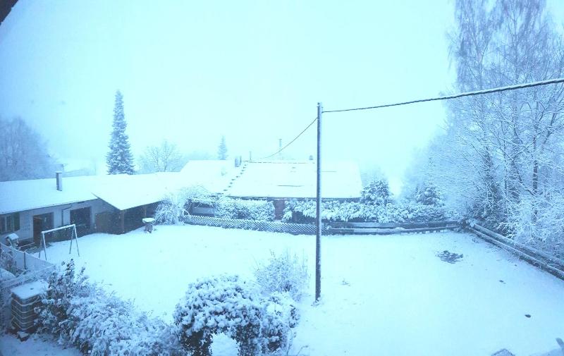 Eventhof Platzhirsch image