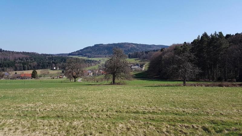 Eventhof Platzhirsch image