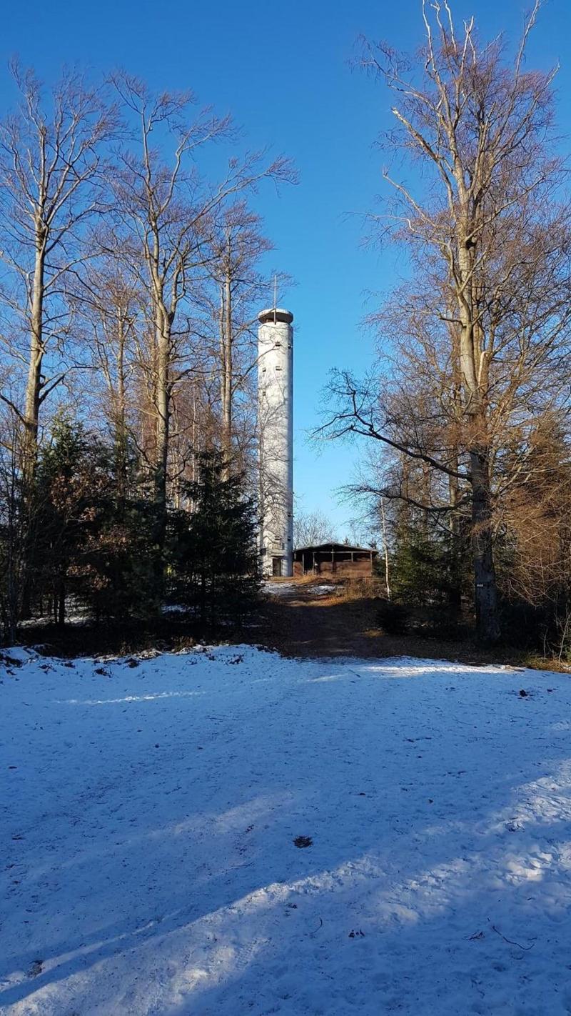 Eventhof Platzhirsch image