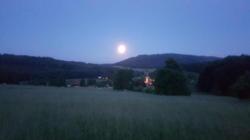 Eventhof Platzhirsch image