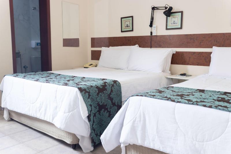 Hotel Minastur image
