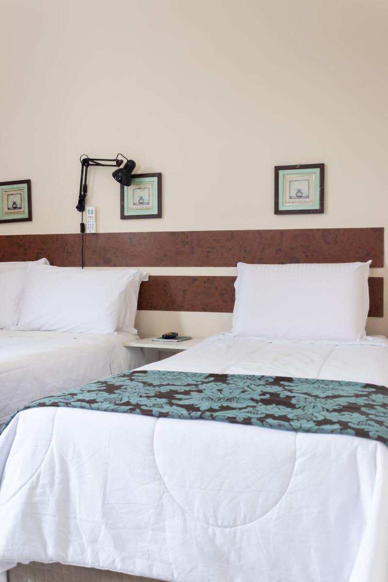 Hotel Minastur image