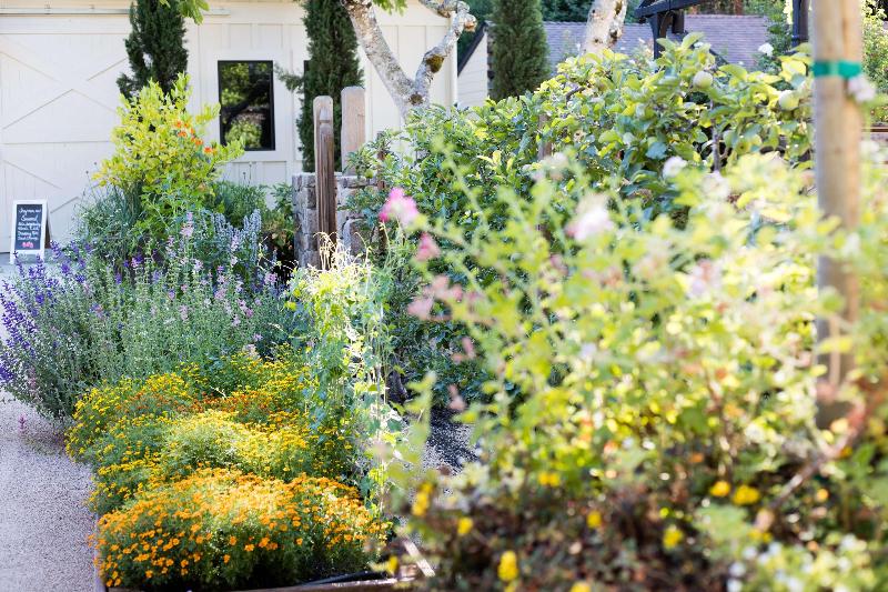 Farmhouse Inn image