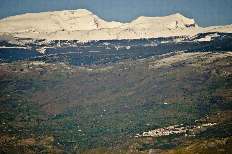 Hostal Las Perdices image
