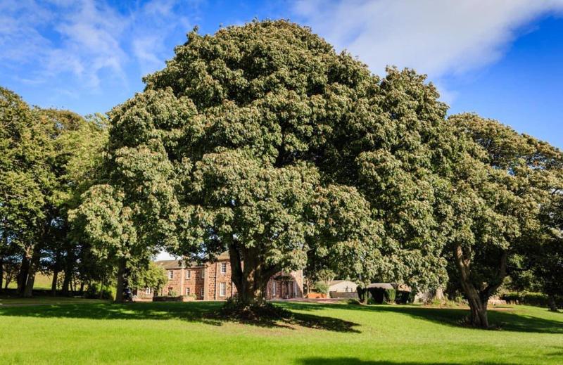 Lunan House Hotel image
