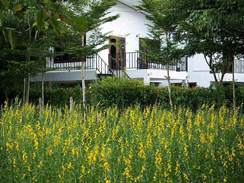 Sanfhan Resort — general view
