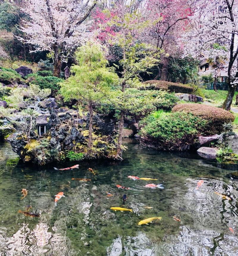 Ryutakuzenji image