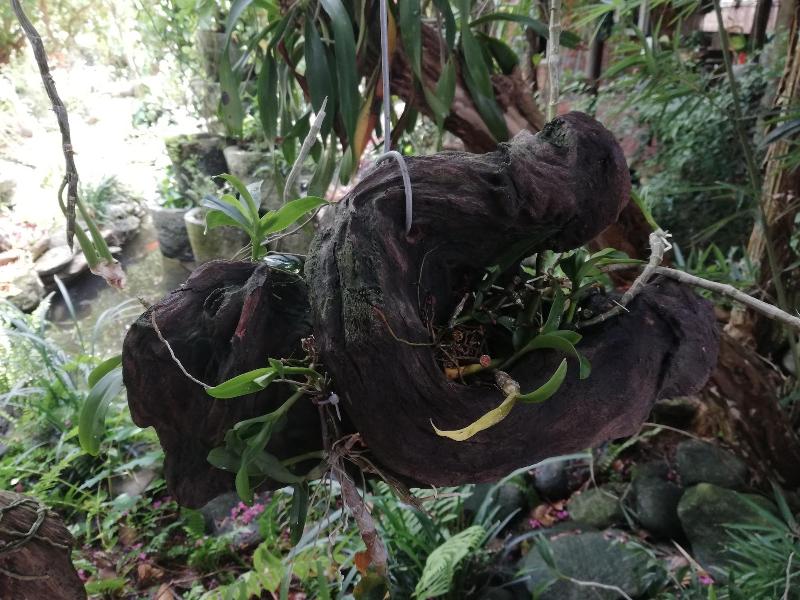 Gio Lao Eco Lodge