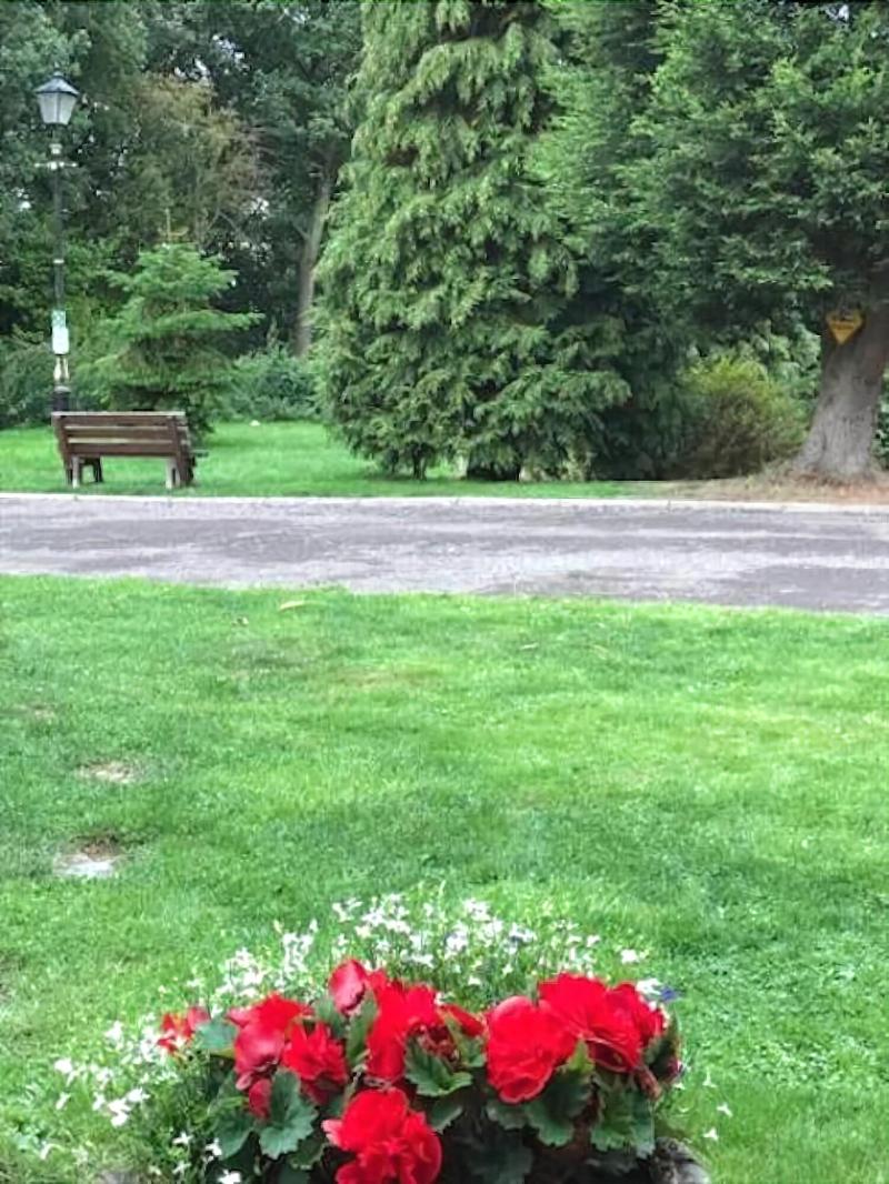 Pinewood Lodge image