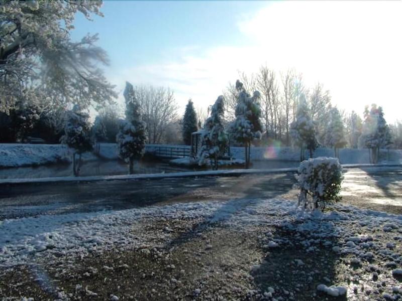 Pinewood Lodge image