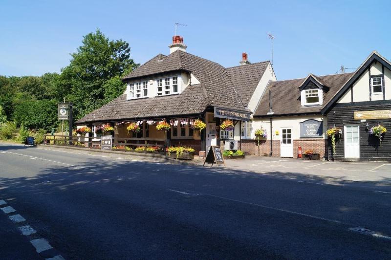 The Flying Bull Inn image