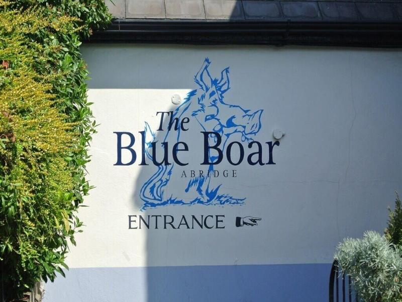 The Blue Boar image